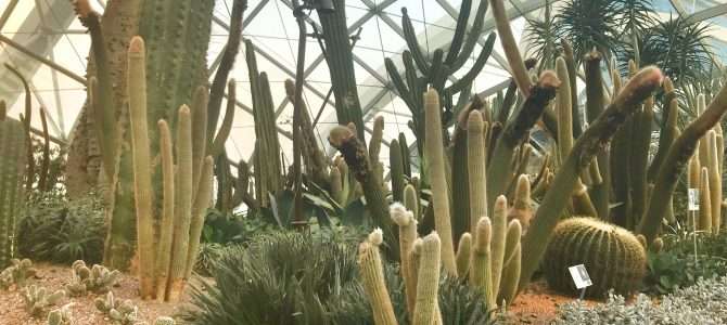 Flower Dome – das größte Gewächshaus der Welt Flower Dome – das größte Gewächshaus der Welt