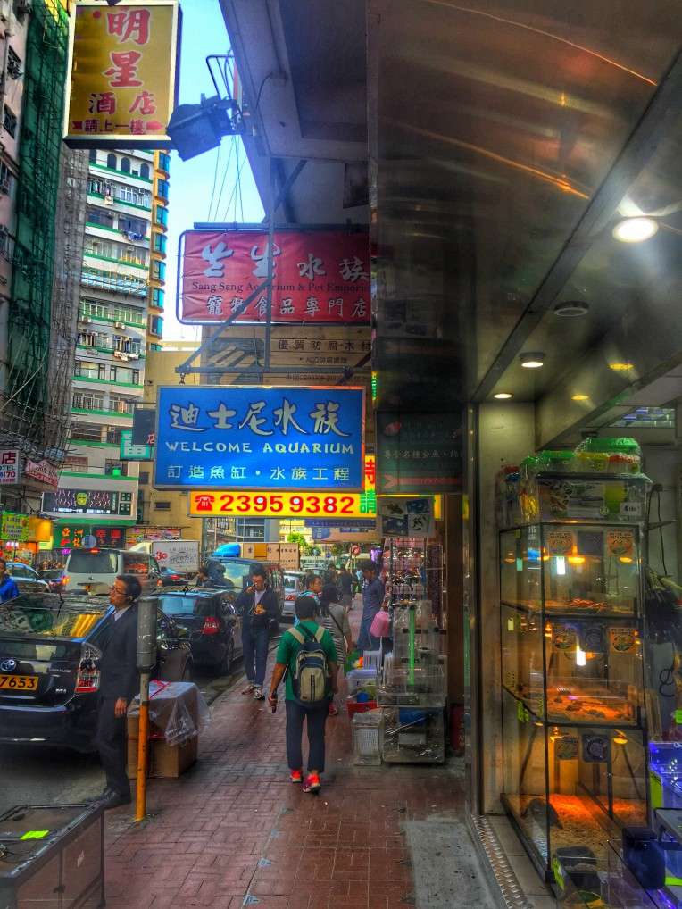 Stadtteil Mong Kok