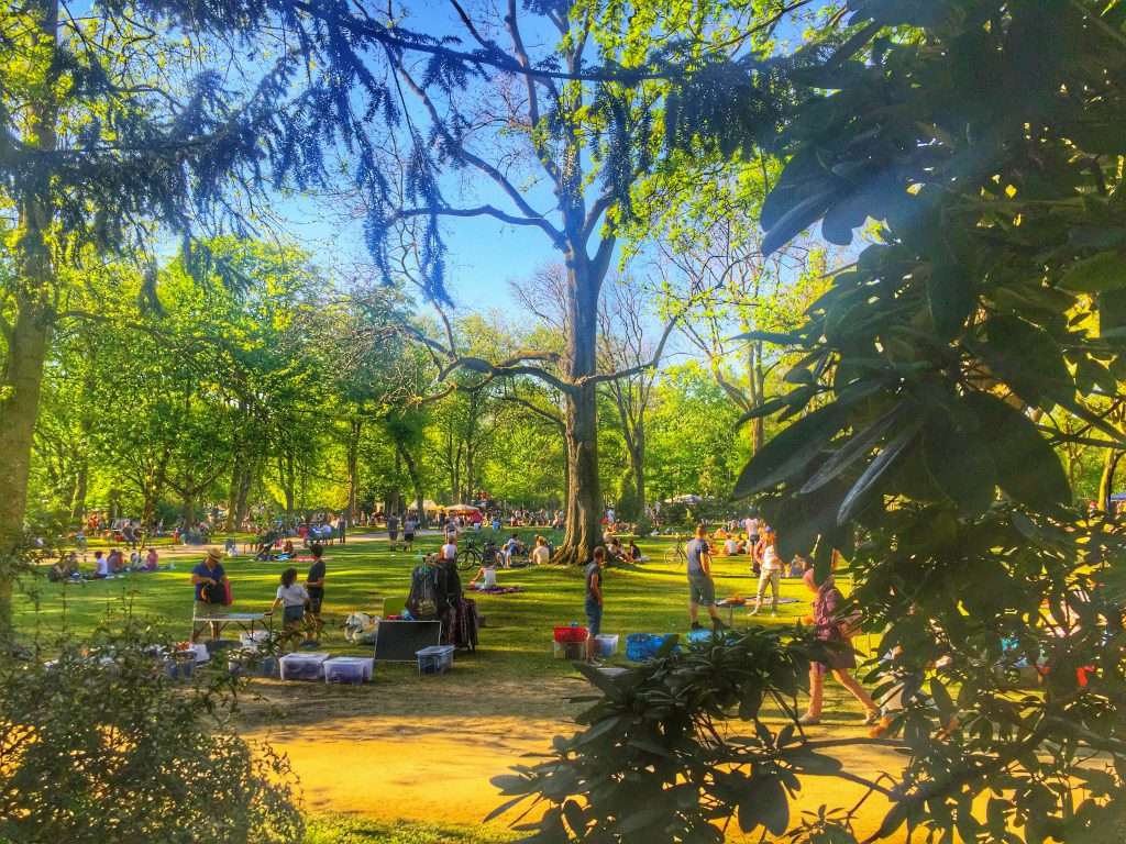 Wiese im Westpark