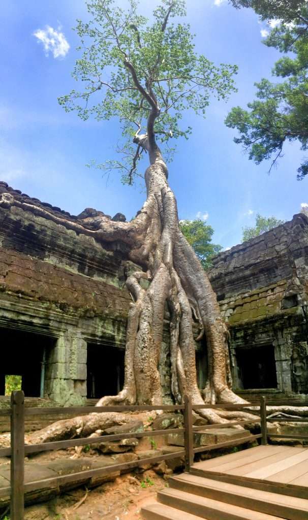 Ta Prohm
