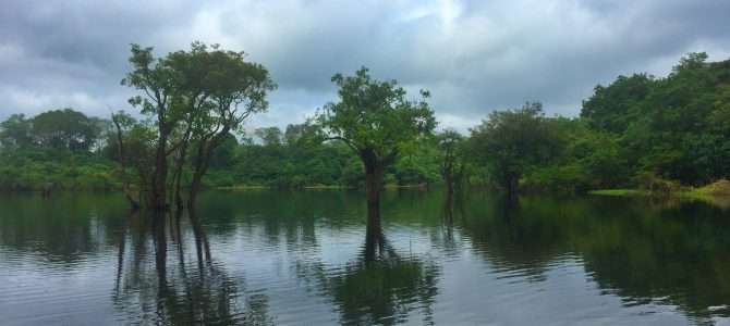 Woher stammt der Name Amazonas? Woher stammt der Name Amazonas?