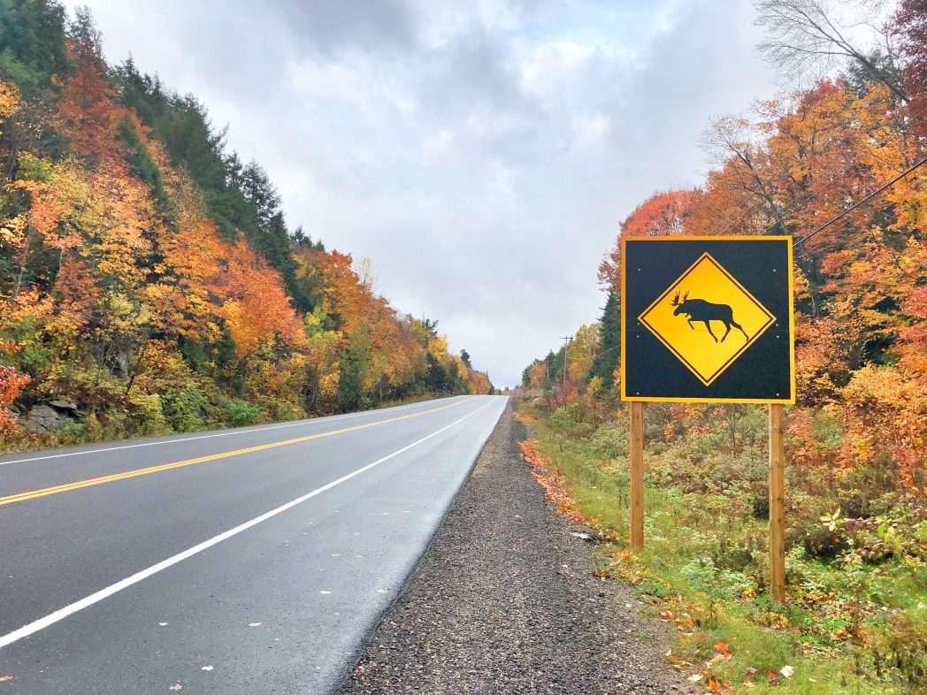HГ¶chstgeschwindigkeit Kanada HГ¶chstgeschwindigkeit Kanada