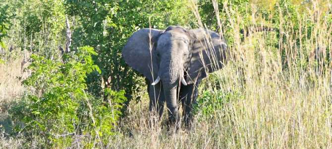 Reisen nach Simbabwe Reisen nach Simbabwe
