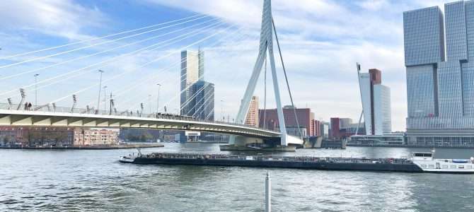 Die Erasmusbrücke in Rotterdam Die Erasmusbrücke in Rotterdam