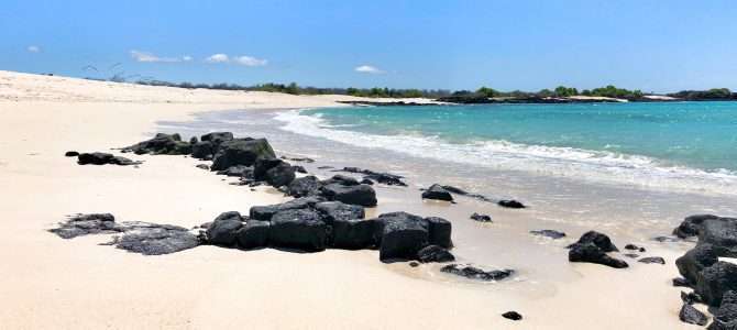 Reise auf die Galapagos-Inseln Reise auf die Galapagos-Inseln