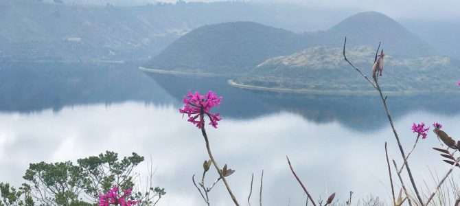 Wandern am Cotacachi und Cuicocha Wandern am Cotacachi und Cuicocha